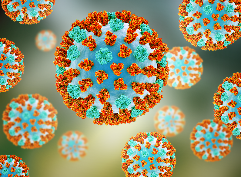 Coronavirus – How it began